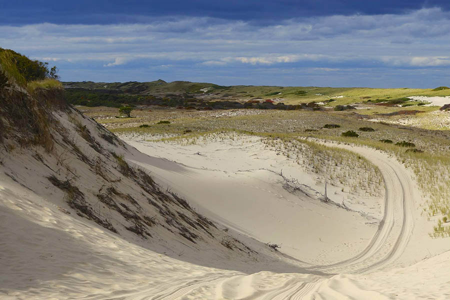 Dunes